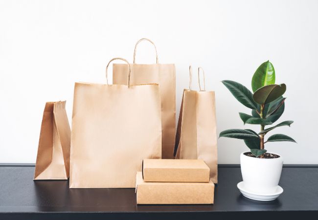 The pros and cons of paper bags