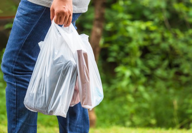 Plastic Bags: Unveiling their impact