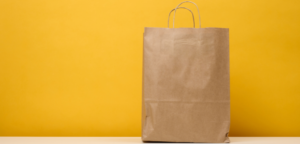Brown Paper Bag with Twisted Handles